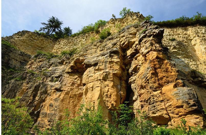 Front de carrière de St Romain au Mont d'Or