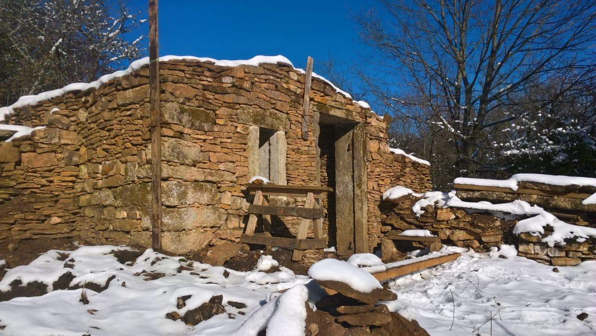 Bulletin de printemps