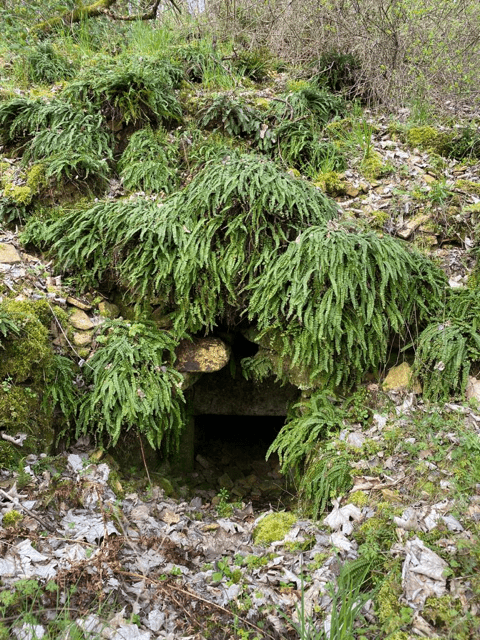 Travaux sur le site de la Carquinche